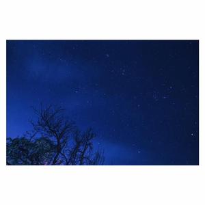 Gay捷克洗澡又大又粗
